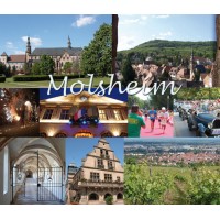 Mairie de Molsheim logo - Similar company to École 18.06