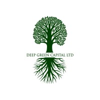 Deep Green Capital Ltd logo - Similar company to Rx Securities