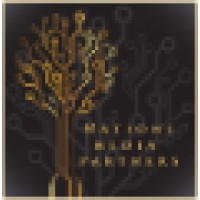 Nations Media Partners logo - Similar company to Enercom Networks, Llc