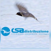 CSA Distribuzione Srl logo - Similar company to Cips S.R.L. - Csa S.R.L.
