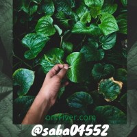 Plant science logo - Similar company to Botany Group