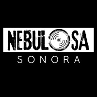 Nebulosa Sonora logo - Similar company to Abcesar Group