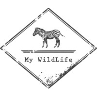My Wildlife logo - Similar company to Noomady