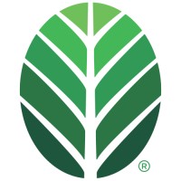 Southern Botanical logo - Similar company to Haven Landscaping And Irrigation - Commercial And Hoa Landscaping - Frisco / Little Elm Area