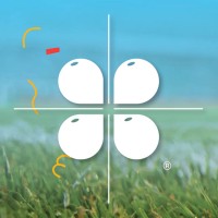 Balloons Everywhere logo - Similar company to Latex Industry Network (Technobiz)