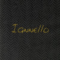 Restaurant Iannello logo - Similar company to Bao&Me Restaurant