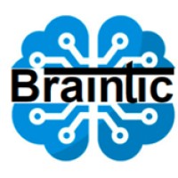 BRAINTIC-DZ logo - Similar company to Braintic