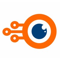 Netrasemi logo - Similar company to Incore Semiconductors