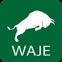 Waje Smart Solutions Limited logo - Similar company to Lotus Beta Analytics