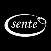 Sente Makina logo - Similar company to Usel Makina