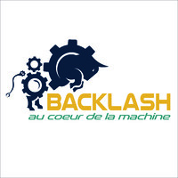 Backlash logo - Similar company to Rms3D