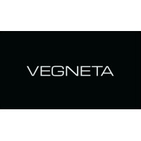 Vegneta logo - Similar company to Visual Ai