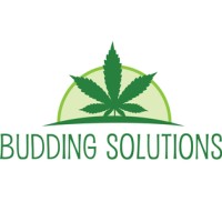 Budding Solutions logo - Similar company to Orifik Llc