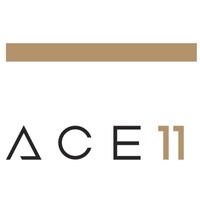 ACE 11 BV logo - Similar company to Liongroup