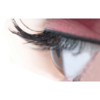 Foto Basler logo - Similar company to Techn It Solutions