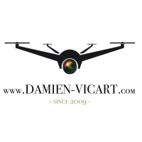 Damien-Vicart logo - Similar company to 2.35 Scope