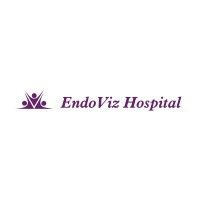 Endoviz Hospital logo - Similar company to Freehit Fantasy