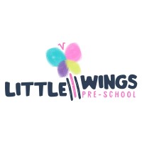 Udaan foundation’s Little Wings Preschool and Activity Center logo - Similar company to Rectangle Consulting
