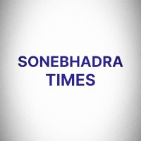 Sonebhadra Times logo - Similar company to Insysd