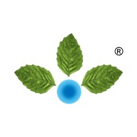 Anupam Rasayan India Ltd logo - Similar company to Suman Chemical Industries Limited