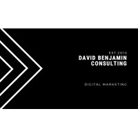 David E.Benjamin Consulting LLC
