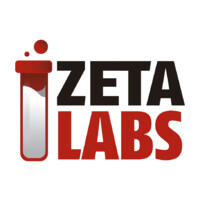 ZetaLabs Informática logo - Similar company to Zetagroups Llc