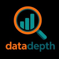 DataDepth logo - Similar company to Analitika Plus