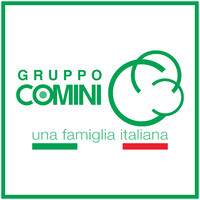Gruppo Comini logo - Similar company to Zanutta