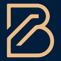 Blindspot New Zealand logo - Similar company to Virtual Blue Limited