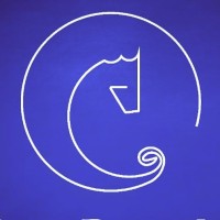 SanPro Jr | Consultoria logo - Similar company to Aiche Fei