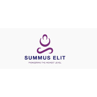 Summus Elit Technologies logo - Similar company to Aas Infotech