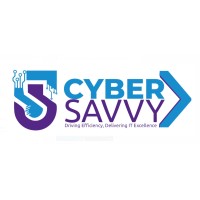 Cybersavvy Tech Solutions logo - Similar company to Sticial Studio