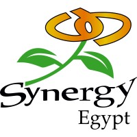 Synergy Egypt - سينرجي مصر logo - Similar company to Synergy Outsourcing Group - Sog