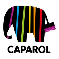 Caparol Färg & Puts logo - Similar company to Caparol