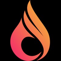 Catchfire Consulting Llc