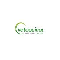 Vetoquinol USA logo - Similar company to Computer Staff