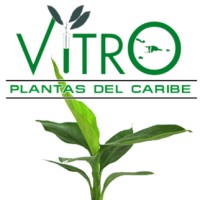Vitroplantas del Caribe, SRL logo - Similar company to Vitroflora Labs