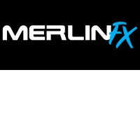 MerlinFX - Online Wizardry logo - Similar company to Ark Industries | Custom Printing & Embroidery