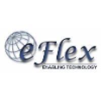 eFlex IT Solutions Pvt. Ltd. logo - Similar company to Ibilt Technologies