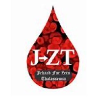 JZT Pakistan logo - Similar company to Mabeauty