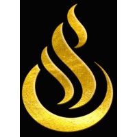 Sancio Vfx Studios logo - Similar company to Vfx Studios