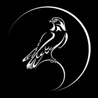 FalconsPicture Animation Studio logo - Similar company to We Create Films