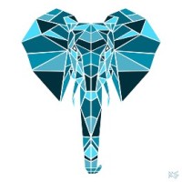 Behemoth Capital logo - Similar company to P65 Ventures