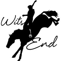 Wits End Events logo - Similar company to Wits Experiential