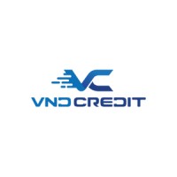 VNDCREDIT logo - Similar company to Ginnovations