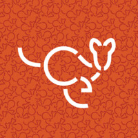 Canguru Expert logo - Similar company to Gs Business