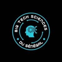BigTech Sciences logo - Similar company to Association Des Femmes  Sénégalaises Dans Le Secteur Du Numérique ( Festic)