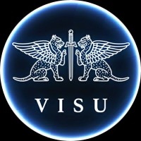 VISU logo - Similar company to Vscy