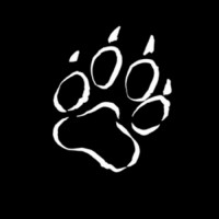 First Paw Media