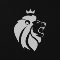 RYK Motors logo - Similar company to Byd Mandarim